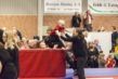 HIF Gymnastikopvisning 2015Foto: Alexander Wattez Brander